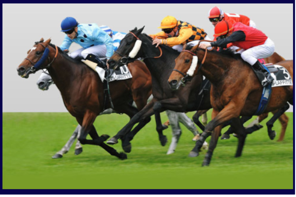 PROFIT TURF "SUPERS BASES" INEDIT et EDITION LIMITEE Découvrez le moyen de gagner au turf en détectant des SUPERS BASES en moins de 3 minutes par réunion de course hippiques.  SIMPLE, RAPIDE, EFFICACE et LOUABLE… Vous êtes joueurs néophyte ou professionnel dans les cours hippiques, ce jeu est fait pour vous !  Avec ce principe de détection de supers bases : les chevaux à jouer sont détectés en moins de 3 minutes par réunion.  Les jeux peuvent être réalisés à la mise en constante constante toujours la même mise par cheval, sans martingale.  Le jeu se fait en simple gagnant 1 cheval par cours maximum à jouer.  Vous aurez en cadeau, une méthode de jeu rentable en simple gagnant depuis une dizaine d'années.