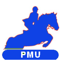 Meilleur pronostic pmu, paris hippiques, cources hippiques, Robot Turf France